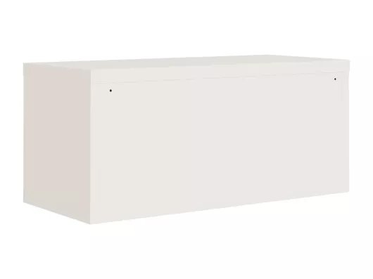 Kauf Unique Aktenschrank Weiß 90x40x40 cm Stahl Versandkostenfrei