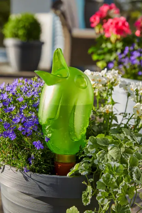 Scheurich Bördy Indoor Wasserspeicher Letzte 2 Tage