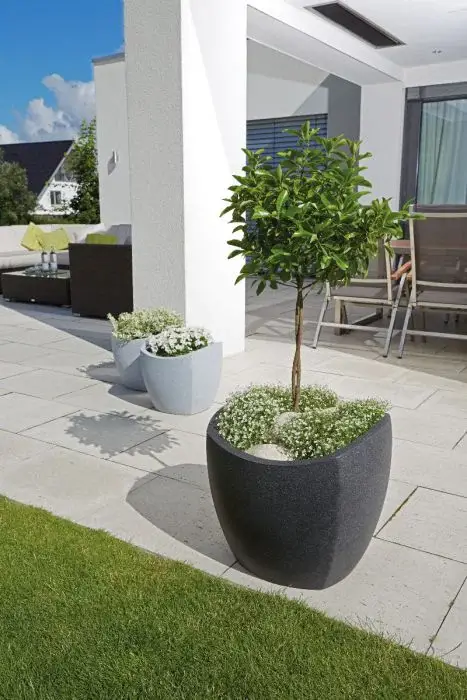 Scheurich Wave Globe Cubo Pflanzgefäß 256 - Schwarz-Granit/40 zollfrei