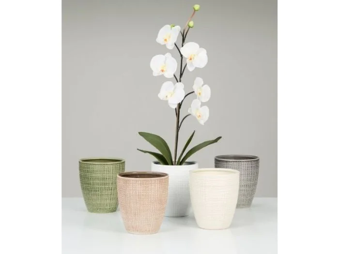 Scheurich Orchideentopf 15/667 Pflanzgefäß Günstig kaufen