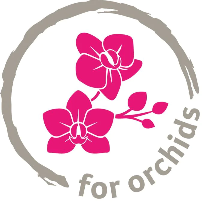 Scheurich Orchideentopf 632 Exklusivangebot