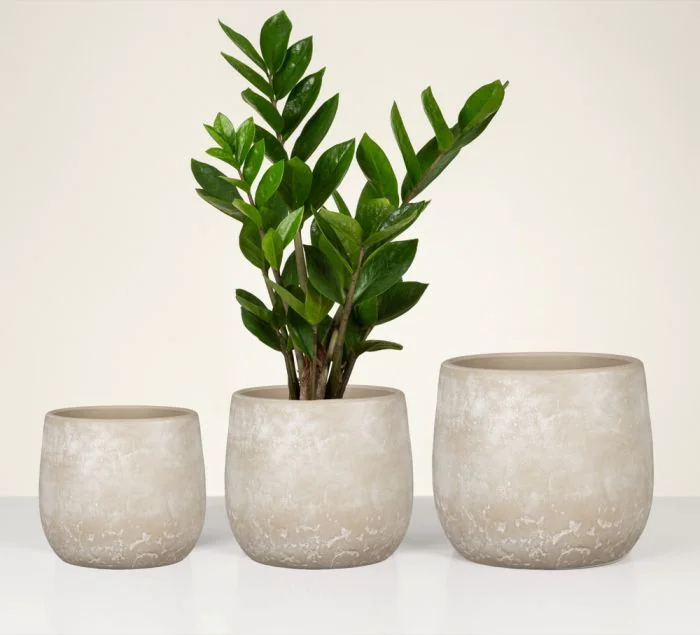 Scheurich Natural Surfaces Übertopf 787 Top Angebot