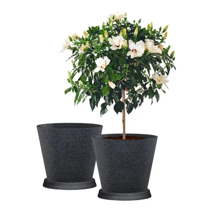 Scheurich Coneo 2er Blumentopf Set mit Untersetzern - Schwarz-Granit Sonderangebote