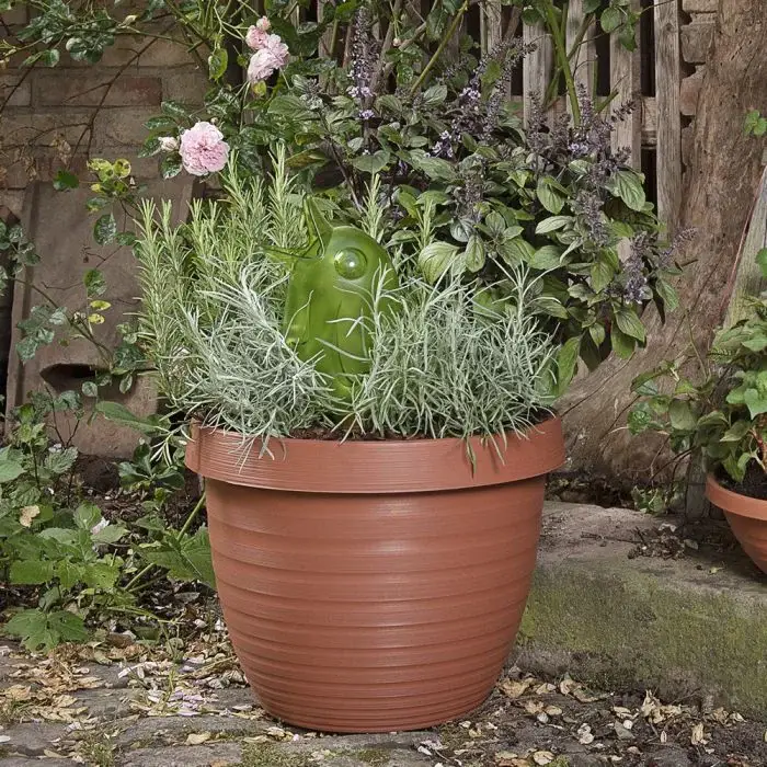 Scheurich Country Star 3er Blumentopf Set mit Untersetzern - Terracotta Super Sparpreis