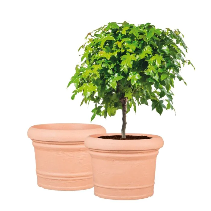Scheurich Formia 2er Blumentöpfe Set - Terracotta Kostenlose Rückgabe