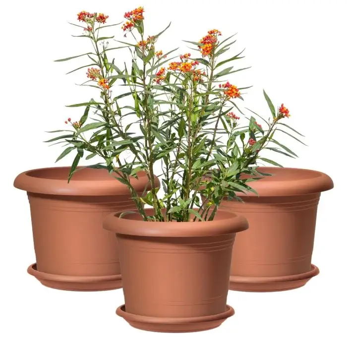 Scheurich Oliver 3er Blumentöpfe Set Oliver mit Untersetzern - Terracotta JETZT KAUFEN